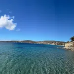 Petalides *
