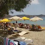Petalides *
