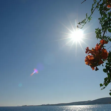 Apartament Petalides